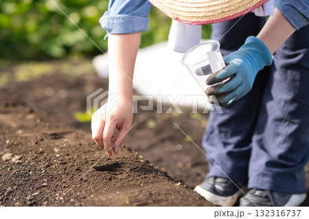 畑に野菜の種を蒔く若い女性 畑に野菜の種を蒔く若い女性 132316737