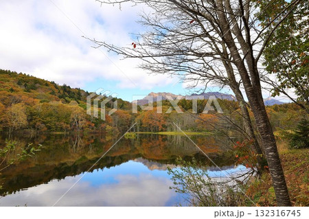 飯綱高原小鳥ケ池 132316745