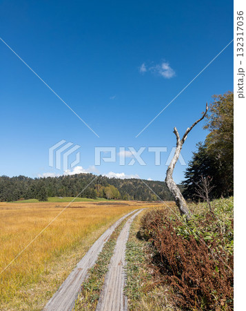 【群馬】草紅葉の尾瀬ヶ原 【群馬】草紅葉の尾瀬ヶ原 132317036