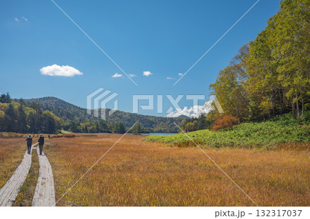 【群馬】草紅葉の尾瀬ヶ原 【群馬】草紅葉の尾瀬ヶ原 132317037