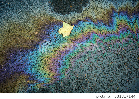 Colorful Oil Slick With Leaf on Pavement After Rain in Urban Area Showcasing Nature and Pollution. 132317144