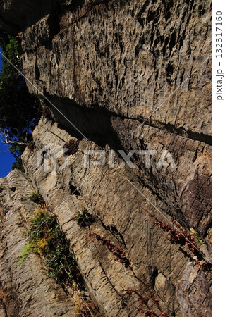 【福井県】荒々しい柱状節理が聳える岸壁の風景 132317160