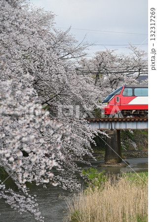 犬山線桜満開の郷瀬川 1200系パノラマスーパー 132317269