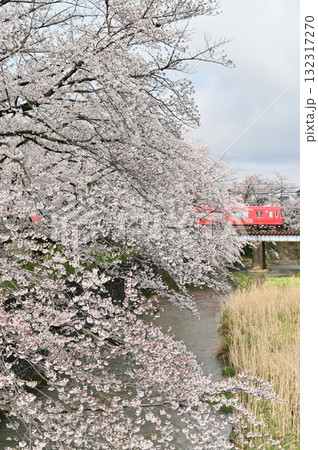 犬山線桜満開の郷瀬川 1200系パノラマスーパー 132317270