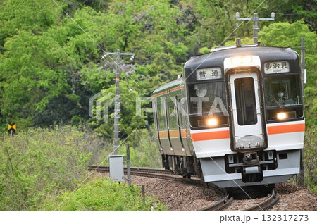 坂祝カーブを行くキハ75 132317273