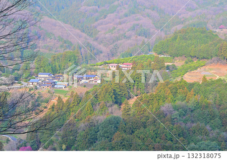 花桃の里　春霞かかる里山　斜面に建つ民家　東秩父村 132318075