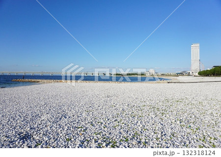 りんくうマーブルビーチ 132318124