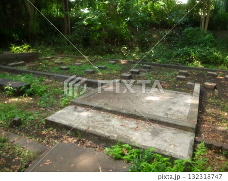 浴恩館公園・空林荘 浴恩館公園・空林荘 132318747