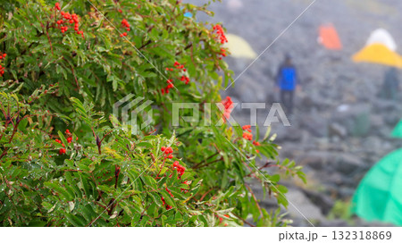北アルプス　秋の涸沢カール　ナナカマドとテント場 132318869