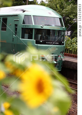 ローカル線・観光列車・キハ72系気動車とヒマワリの花 132319033