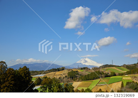 箱根西麓の野菜畑と富士山 箱根西麓の野菜畑と富士山 132319069