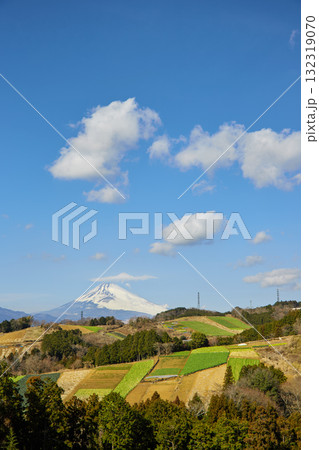 箱根西麓の野菜畑と富士山 箱根西麓の野菜畑と富士山 132319070