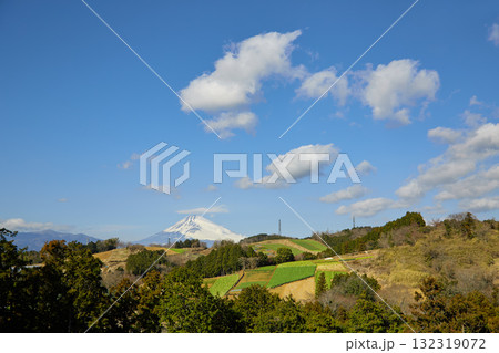 箱根西麓の野菜畑と富士山 箱根西麓の野菜畑と富士山 132319072