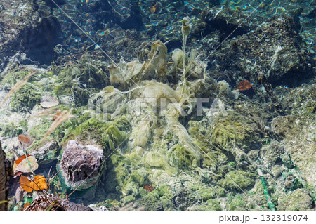 湯ノ湖の湖底に付着した湯ノ花　栃木県日光市 132319074