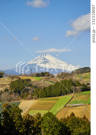 箱根西麓の野菜畑と富士山 箱根西麓の野菜畑と富士山 132319087
