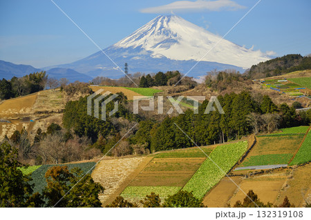 箱根西麓の野菜畑と富士山 箱根西麓の野菜畑と富士山 132319108