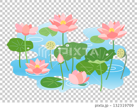 蓮と睡蓮が咲き誇る池をイメージしたイラスト 132319709