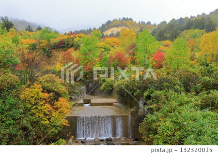 紅葉に染まる八幡平アスピーテライン 132320015