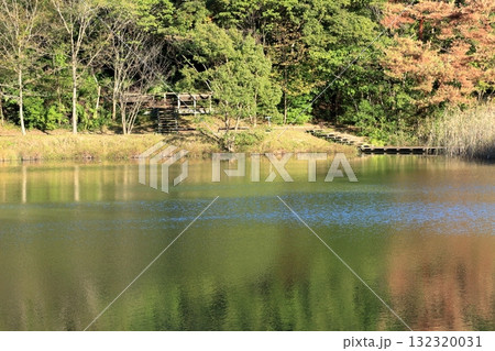 水辺に散策路がある公園の風景 水辺に散策路がある公園の風景 132320031