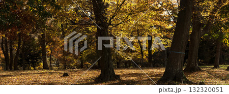 秋の里山 秋の里山 132320051