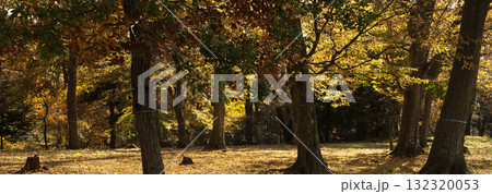 秋の里山 秋の里山 132320053