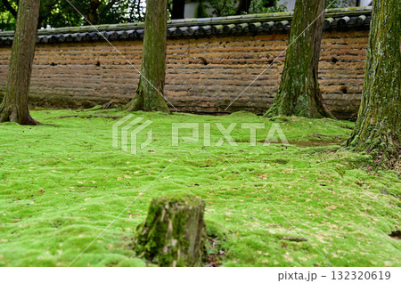 唐招提寺　鑑真和上霊廟 132320619