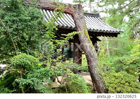 唐招提寺　鐘楼 132320625