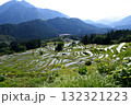 山に囲まれた棚田 132321223