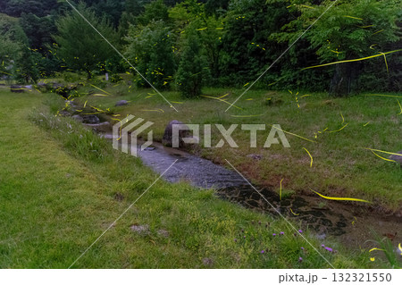 ホタル　乱舞　洋上アルプス屋久島(春 132321550