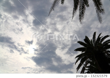 雲の多い空　太陽　ヤシの木 132321579
