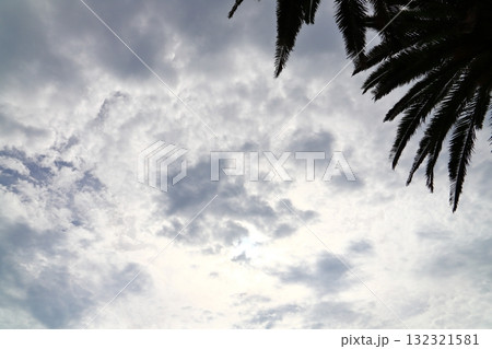 雲の多い空 太陽 ヤシの木 雲の多い空 太陽 ヤシの木 132321581