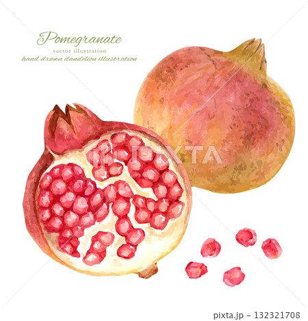 水彩で描いた半分に割れたザクロの果実のイラスト 132321708