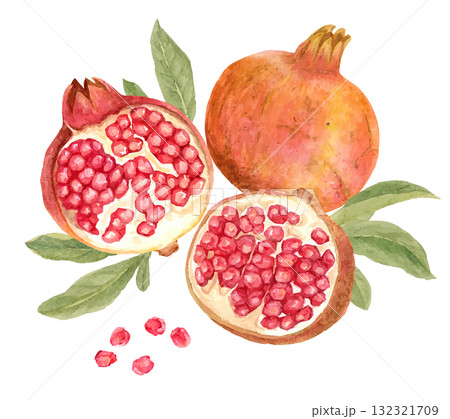 水彩で描いた半分に割れたザクロの果実のイラスト 水彩で描いた半分に割れたザクロの果実のイラスト 132321709