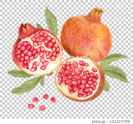 水彩で描いた半分に割れたザクロの果実のイラスト 水彩で描いた半分に割れたザクロの果実のイラスト 132321709