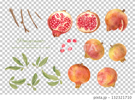 石榴果實和樹枝的水彩插圖集 132321710
