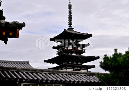 薬師寺 東塔 薬師寺 東塔 132321808