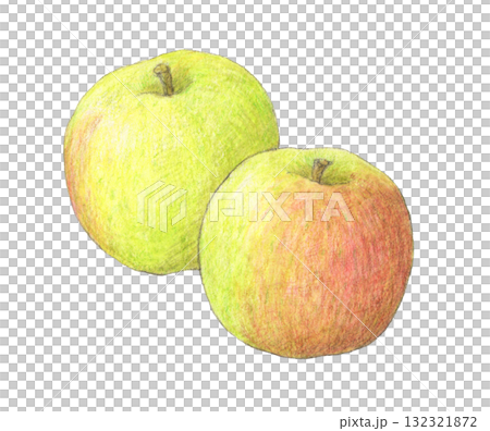 Plumley (cooking apple) Watercolor pencil illustration 132321872