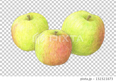 Plumley (cooking apple) Watercolor pencil illustration 132321873