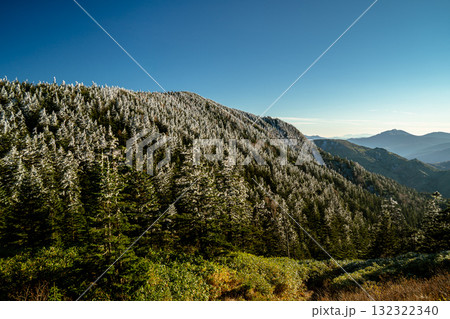 樹氷と紅葉が出会う志賀高原 Rime Ice Meets Golden Larch at 樹氷と紅葉が出会う志賀高原 Rime Ice Meets Golden Larch at 132322340