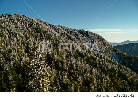 樹氷と紅葉が出会う志賀高原 Rime Ice Meets Golden Larch at 132322342