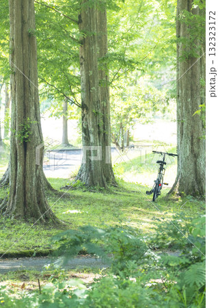 新緑・初夏のサイクリングイメージ　（蒜山高原） 132323172