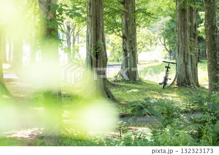新緑・初夏のサイクリングイメージ (蒜山高原) 新緑・初夏のサイクリングイメージ (蒜山高原) 132323173