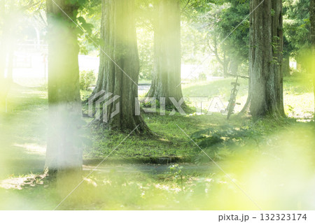 新緑・初夏のサイクリングイメージ (蒜山高原) 新緑・初夏のサイクリングイメージ (蒜山高原) 132323174