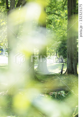 新緑・初夏のサイクリングイメージ　（蒜山高原） 132323175