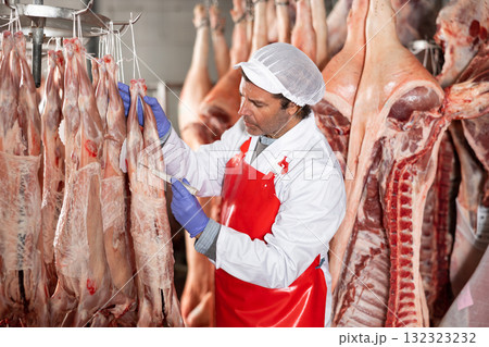 Butcher measuring temperature of lamb carcasses hanging in cold storage Butcher measuring temperature of lamb carcasses hanging in cold storage 132323232