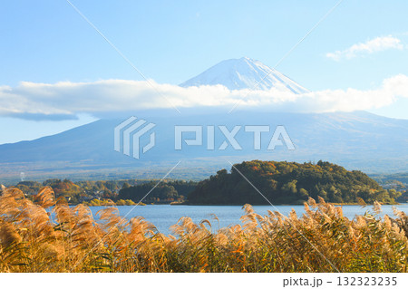 秋のススキ野原と雲帯を巻いた雄大な富士山 132323235