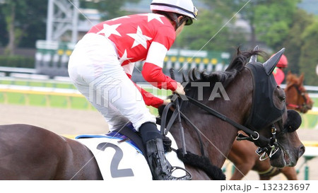 東京競馬場の返し馬を行う競走馬 132323697