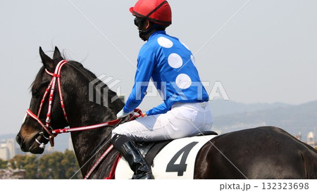 阪神競馬場の返し馬を行う競走馬 阪神競馬場の返し馬を行う競走馬 132323698