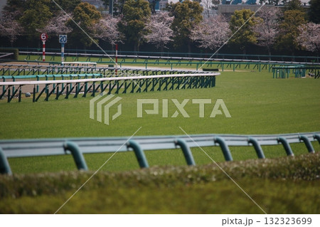 無人の阪神競馬場芝コースとスタンド全景 132323699