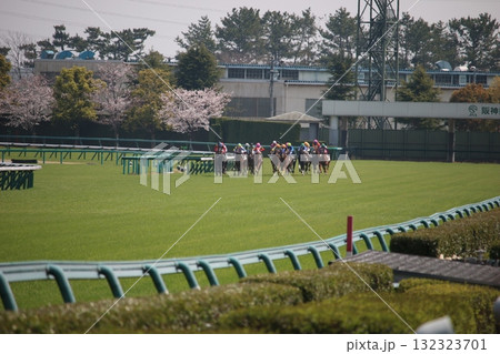桜をバックに阪神競馬場を力強く走る競走馬たちと白熱のレースシーン 桜をバックに阪神競馬場を力強く走る競走馬たちと白熱のレースシーン 132323701